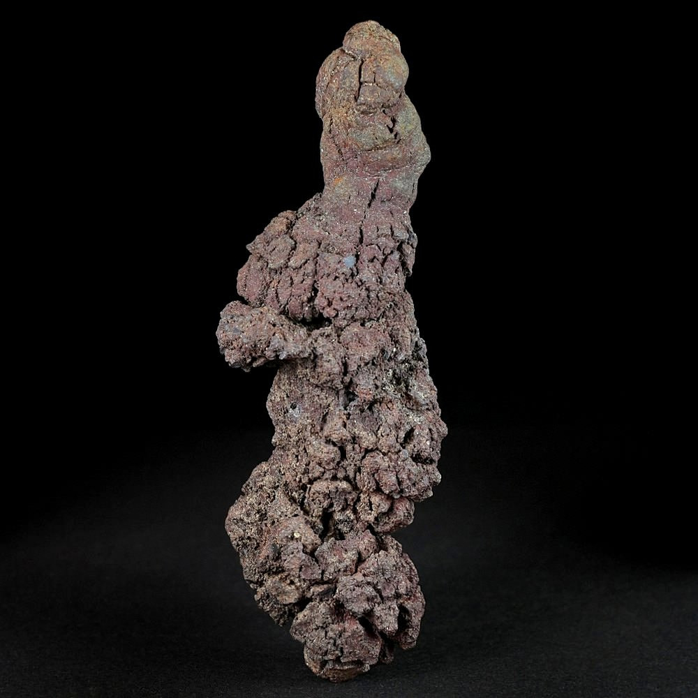 Versteinerter Reptilien Koprolith aus dem Eozän von Madagaskar
