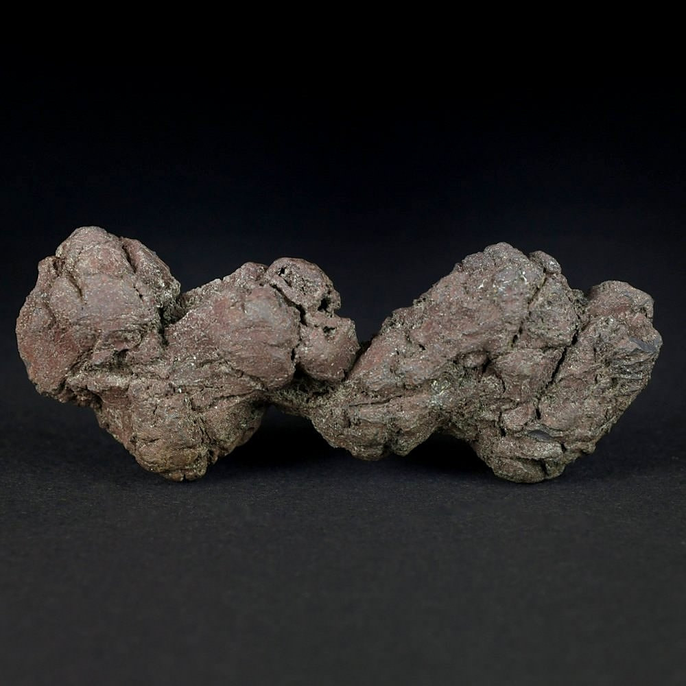 Versteinerter Reptilien Kotstein Koprolith aus Madagaskar