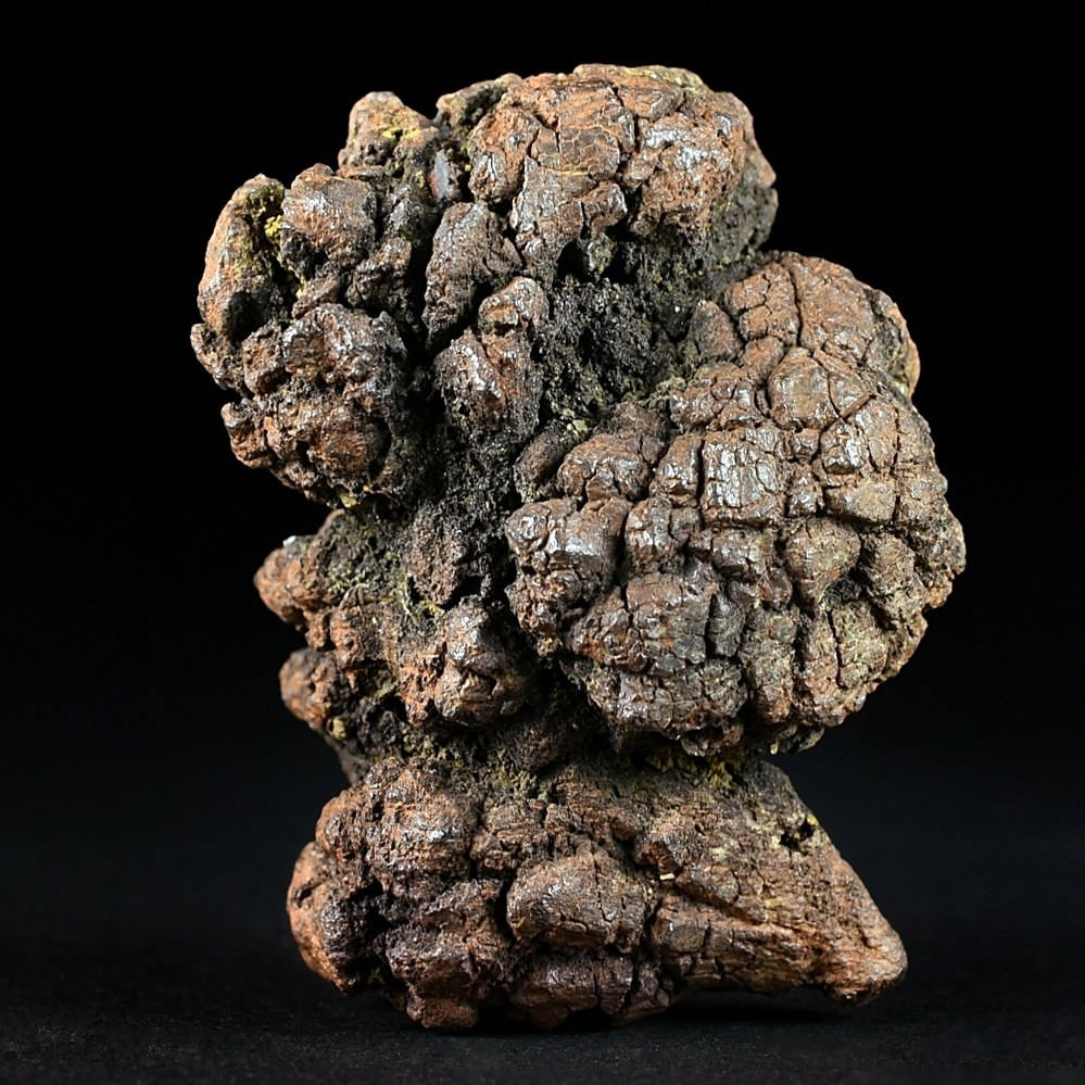 Fossilien versteinerter Koprolith aus Madagaskar