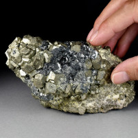 Top Pyrit Kristall Stufe mit hämatit von Rio Marina Toskana