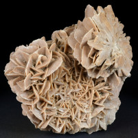 Mineralien Sandrose Wüstenrose aus Marokko