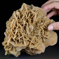 Sandrose Wüstenrose aus der Sahara Mineralien online kaufen