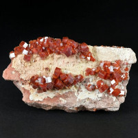 Vanadinit Mineralienstufe mit tiefrote Vanadinitkristalle