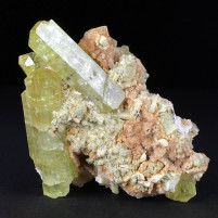 Apatit Stufe mit gelbgrünen Kristallen aus Imilchil Marokko
