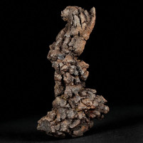 Versteinerter Reptilien Koprolith aus Madagaskar
