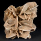 Mineralien Sandrose Wüstenrose aus der Sahara