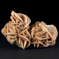 Mineralein schöne Sandrose, Gipsrose aus der Sahara