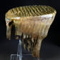 Schöner versteinerter Wollhaar Mammut Zahn mit Wurzel