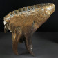 Schöner versteinerter Mammut Zahn aus dem Pleistozän