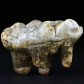 Riesiger Höhlenbären Zahn aus dem Pleistozän von Polen