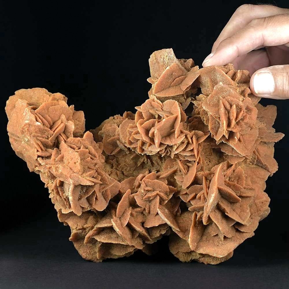 Mineralien Sandrose Gipsrose aus der algerischen Sahara