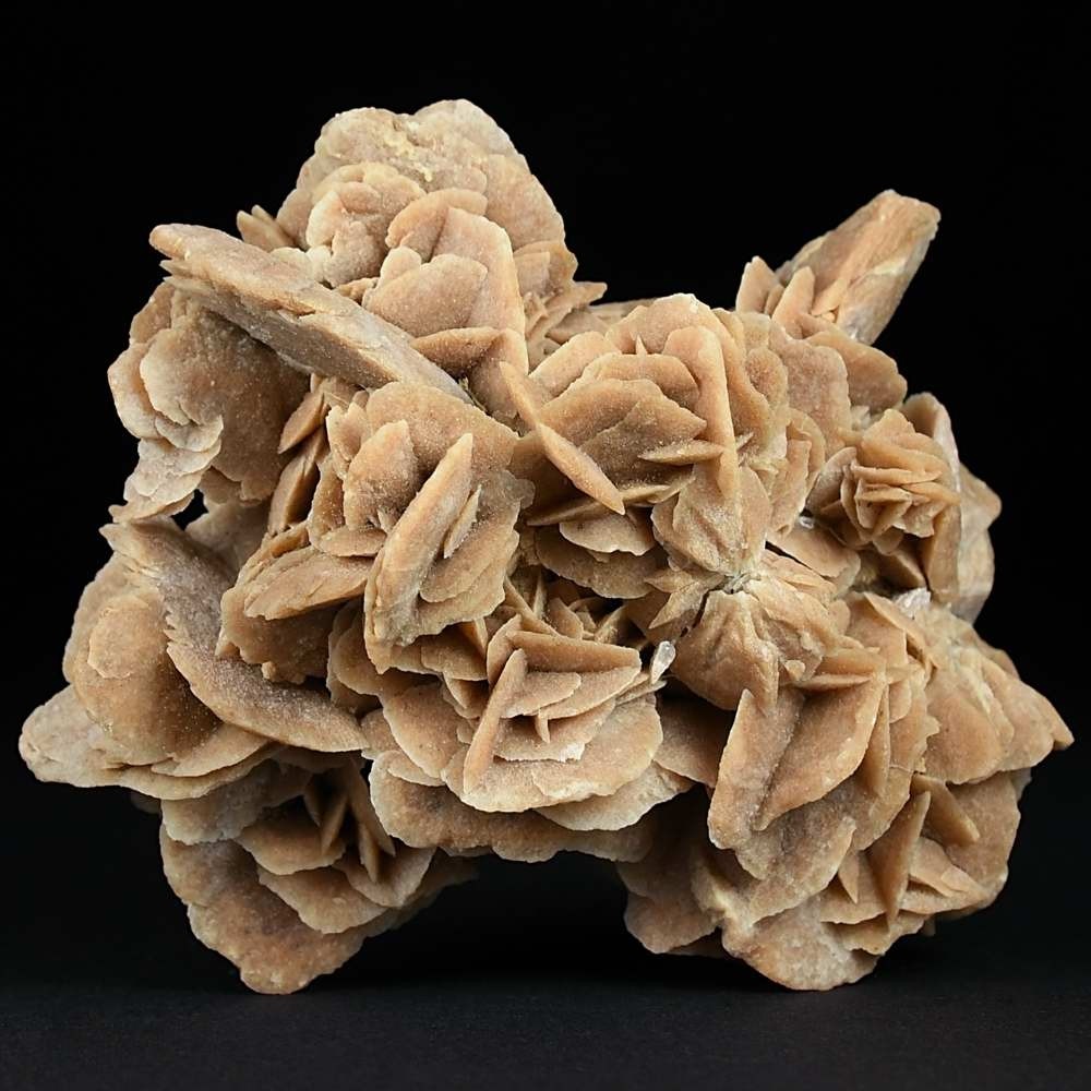 Schöne Gipsrose aus der marokkanischen Wüste