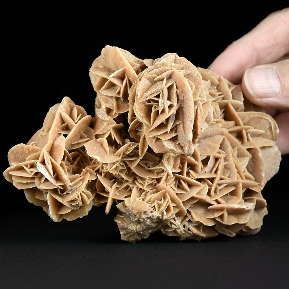 Schöne Gipsrosen, Sandrosen aus der Sahara Wüste 