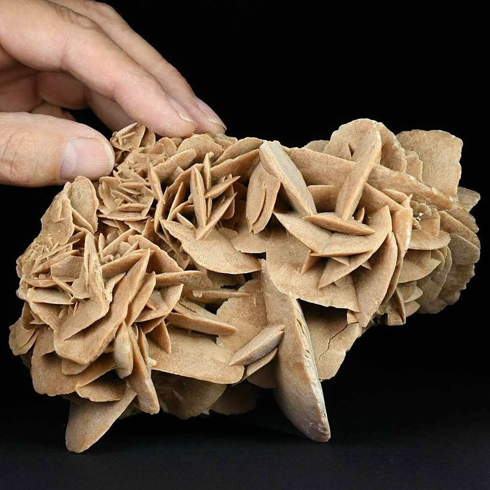 Eindrucksvolle Sandrose aus der Sahara Wüste