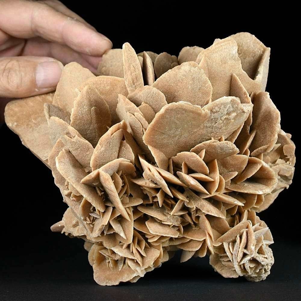 Tolle Sandrose, Gipsrose aus der Sahara Wüste von Marokko
