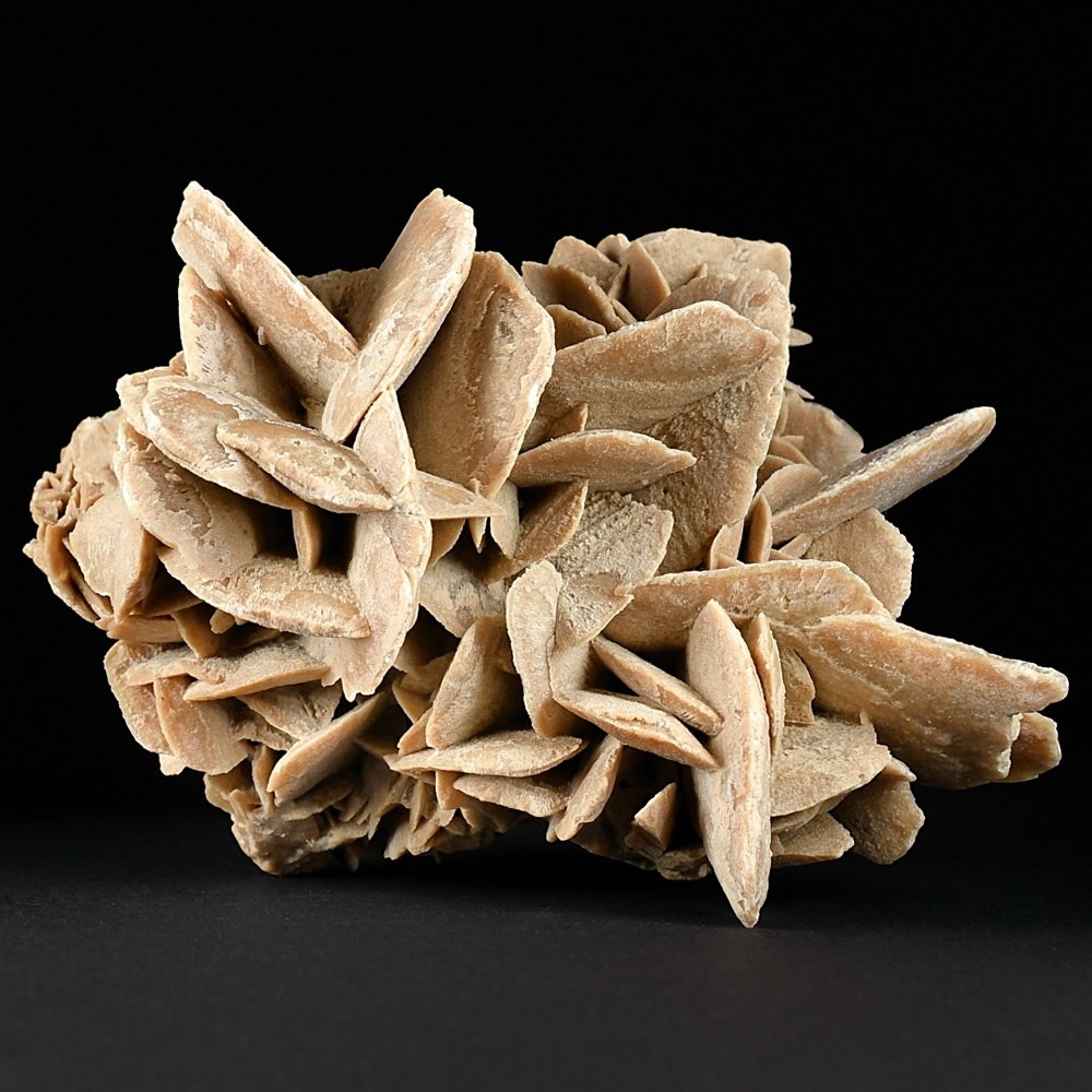 Schöne Sandrose aus der Sahara. Mineralien aus Marokko