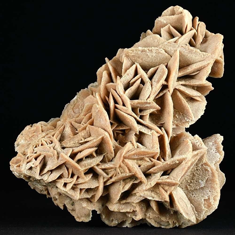 Schöne Sandrose Gipsrose aus der Sahara von Marokko