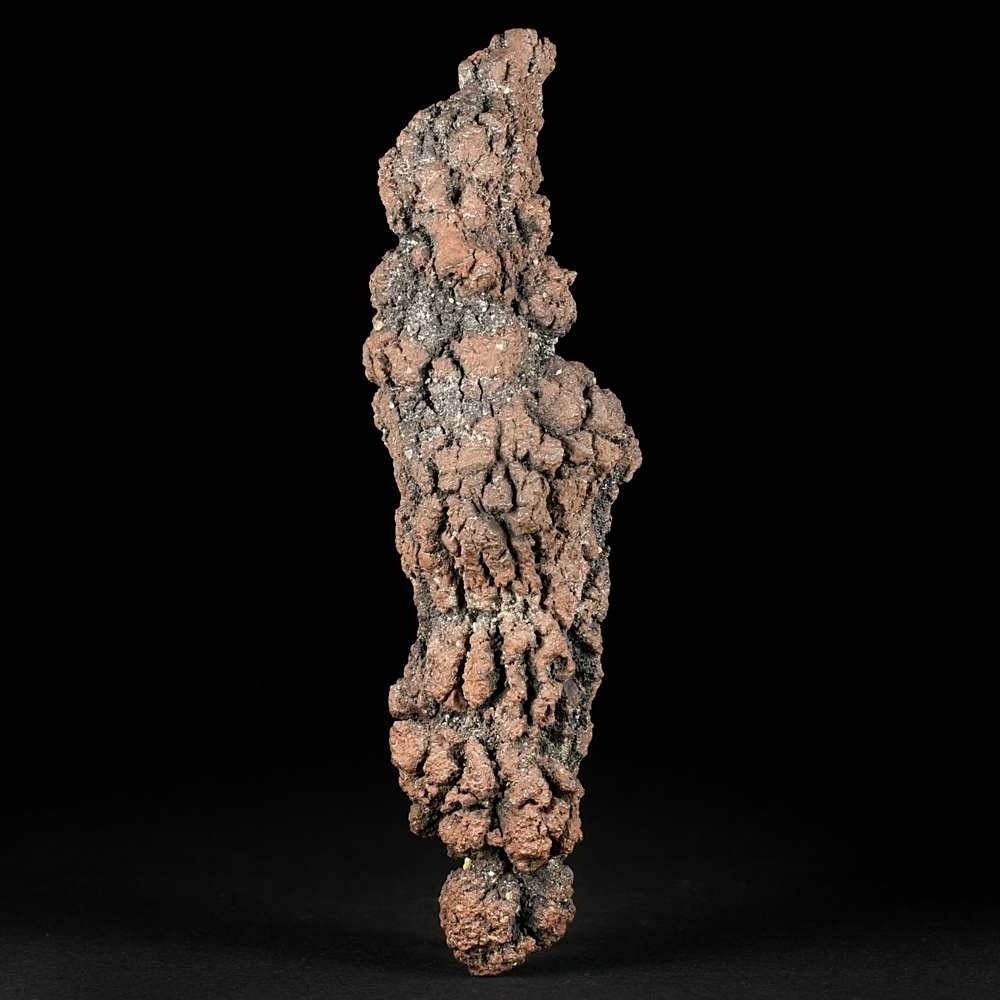 13 cm langer versteinerter Koprolith Kotstein aus Madagaskar