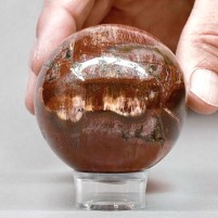 Schönes rotes versteinertes Holz aus der Trias handgeschliffene Kugel