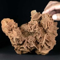 Mineralien Sandrose Gipsrose aus der algerischen Sahara