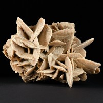 Schöne Sandrose aus der Sahara. Mineralien aus Marokko