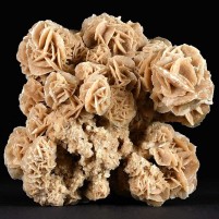 Gipsrosen Sandrosen Mineralien aus der Sahara