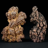 Versteinerte Reptilien Kotsteine aus Madagaskar Koprolithe