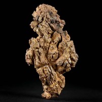 Koprolith aus Madagaskar versteinerter Kotstein von Reptilien