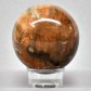 Versteinertes Holz handgeschliffene Sphäre aus Madagaskar