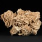 Mineralien Gipsrosen aus der Sahara Wüste von Nordafrika