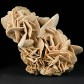 Mineralien Gipsrosen Sandrosen aus der Sahara zum Kaufen