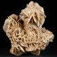 Mineralien sammeln schöne Sandrose, Gipsrose aus der Sahara