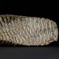 Eiszeit Fossilien Mammut Backenzahn 