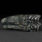 Fossilien versteinertder Wildperd Zahn Equus occidentalis