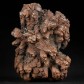Koprolith aus dem Eozän von Madagaskar